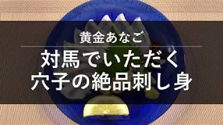 黄金あなご 対馬でいただく穴子の絶品刺し身