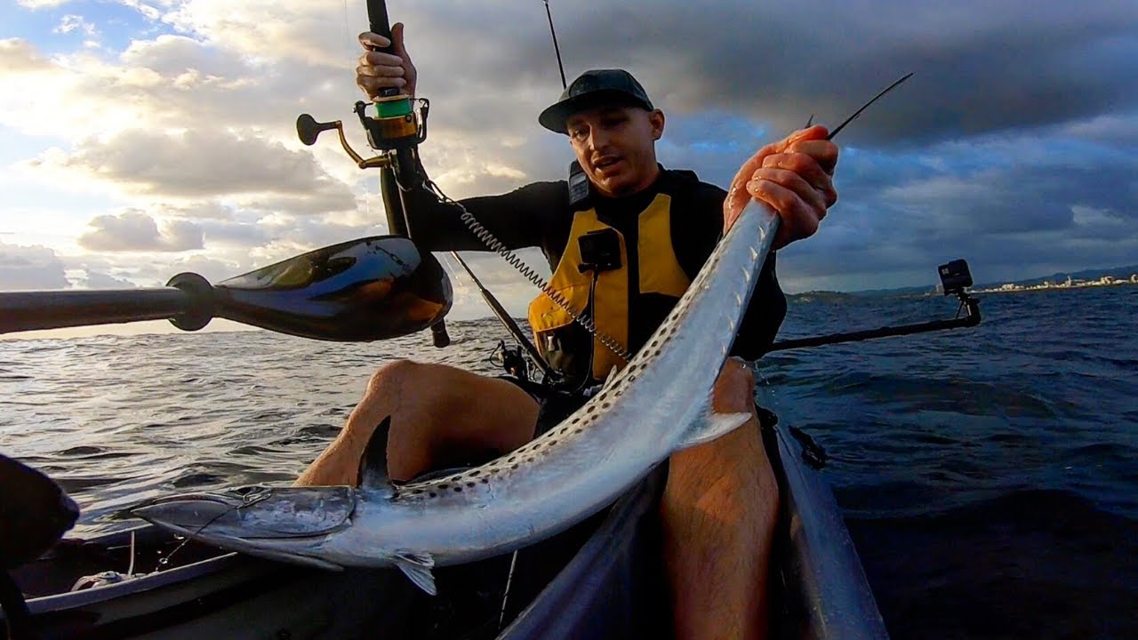 The MACKEREL MISSION Continues! Kayak Fishing, Gold Coast, Australia