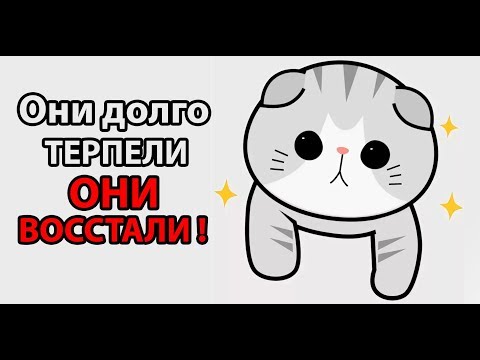 10000000 котов захватывает ВСЕЛЕННУЮ ! ( Kittypocalypse )