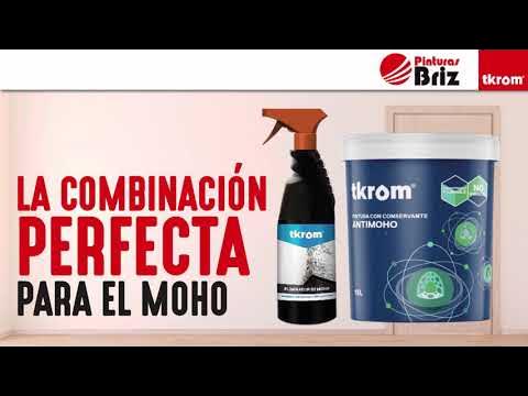 Tratamientos para quitar la humedad de las paredes - PINTURAS BRIZ •  Tiendas de pinturas especializadas