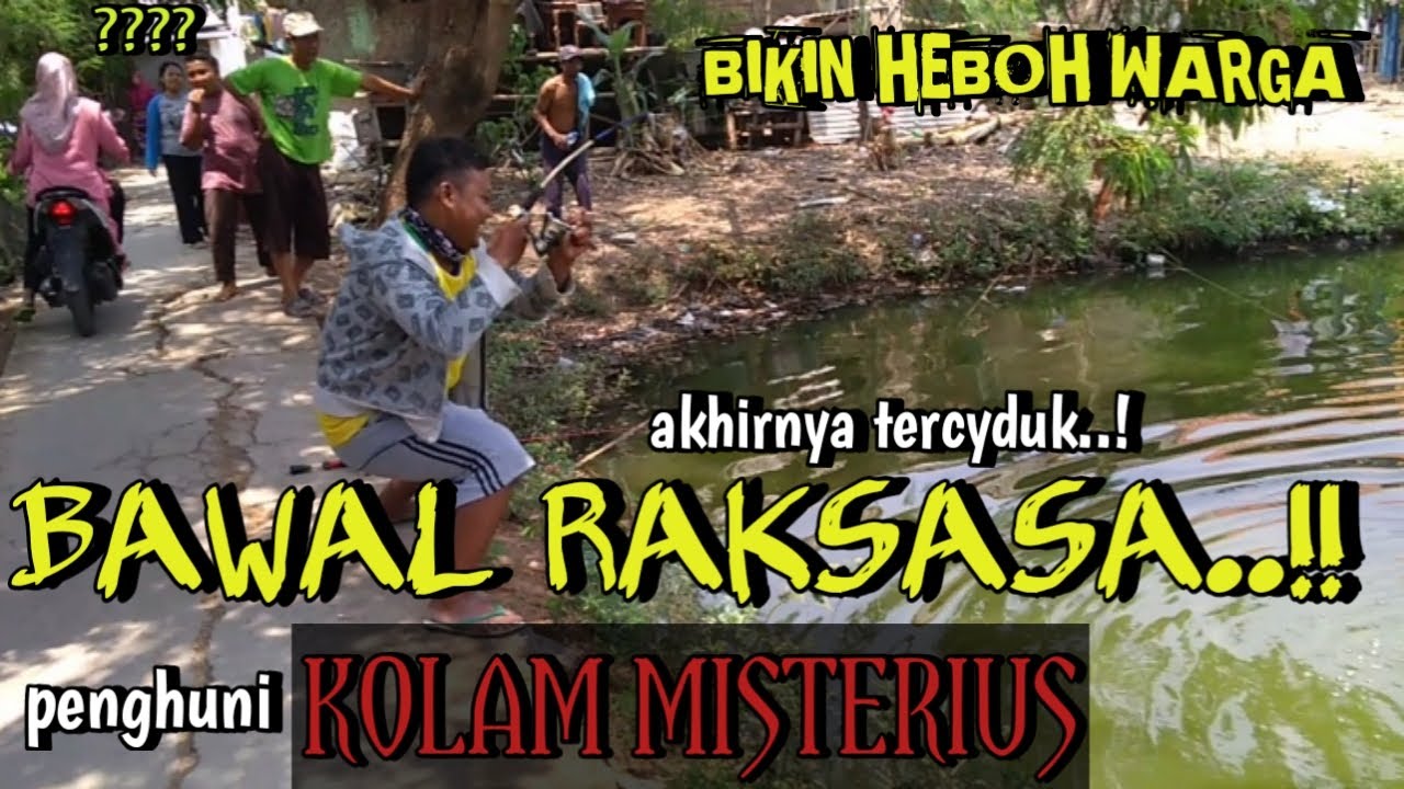 TEST LANGSUNG UMPAN NASI BEJEK..!! BAWAL MONSTER BERTAHUN TAHUN DI