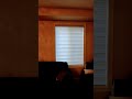 zebra Blinds #bespokeblinds #homedecor #homedesign #rollerblinds #interiordesign #home #interior