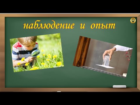 Наблюдение и опыт