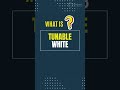 Simple DALI Tunable White DT8 Rotary Control. Out of the box solution, no programming required.