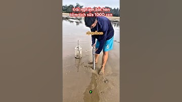 Ervaar het vangen van 1000 kippen- en bidsprinkhaankreeften en maak een uniek gerecht in Sam Son ...