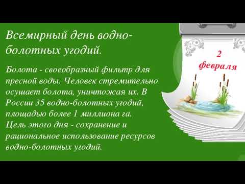 БОЛОТНАЯ ИСТОРИЯ - зачем нужны БОЛОТА - выставка в Музее ВОДЫ, февраль 2021.