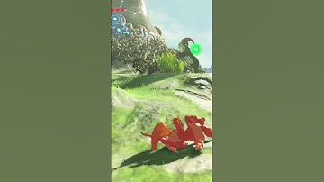 The Struggle (The Legend of Zelda: Breath of the Wild)