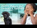 Paisley Loses Another Tooth! | Behind the Braids Family Vlog Ep.36