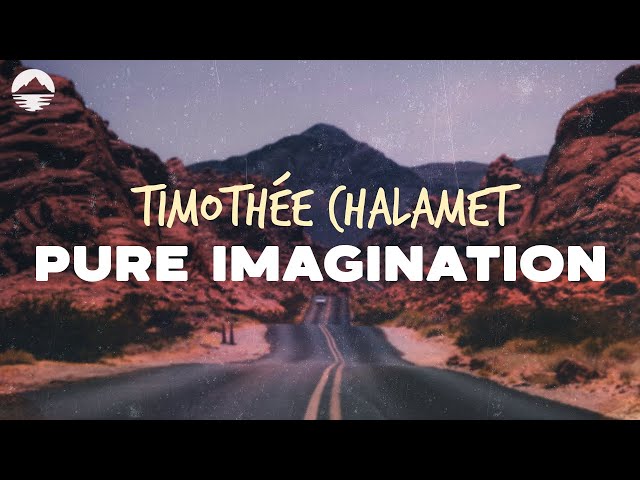 Timothée Chalamet - Pure Imagination (from Wonka) | Lyrics class=