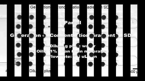 High-throughput Drug Screening Microfluidic Device