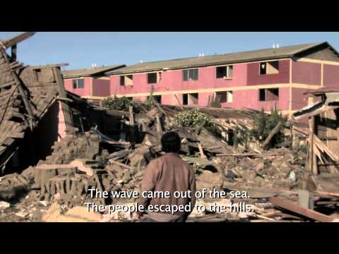 Видео: Трейлер (Год тигра, 2011) - вся информация о фильме на FilmNavi.ru