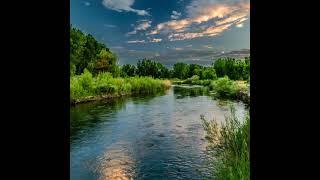 Reflections on the river