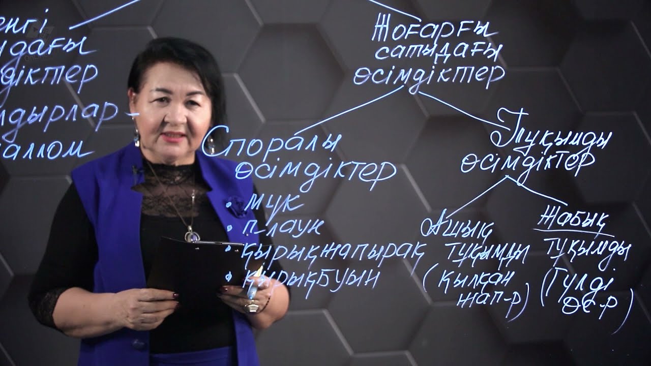 Биология - ҰБТ. 1 нұсқасы: № 01.