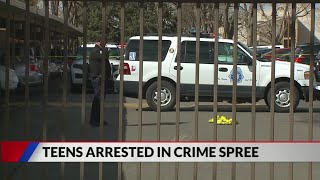 Aurora interim police chief: 'Juvenile crime is a huge issue'