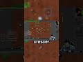 PROJETO VIVENDO DE TIBIA  #games#tibia #shorts #mmorpg