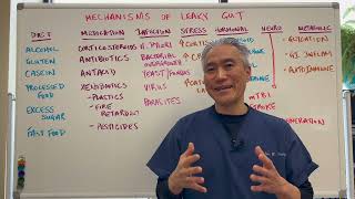 GUT Dysfunction-Leaky Gut Syndrome....Causes