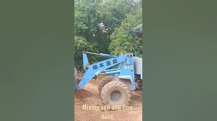 Mixing soil and cow dung ,for plant nutrition