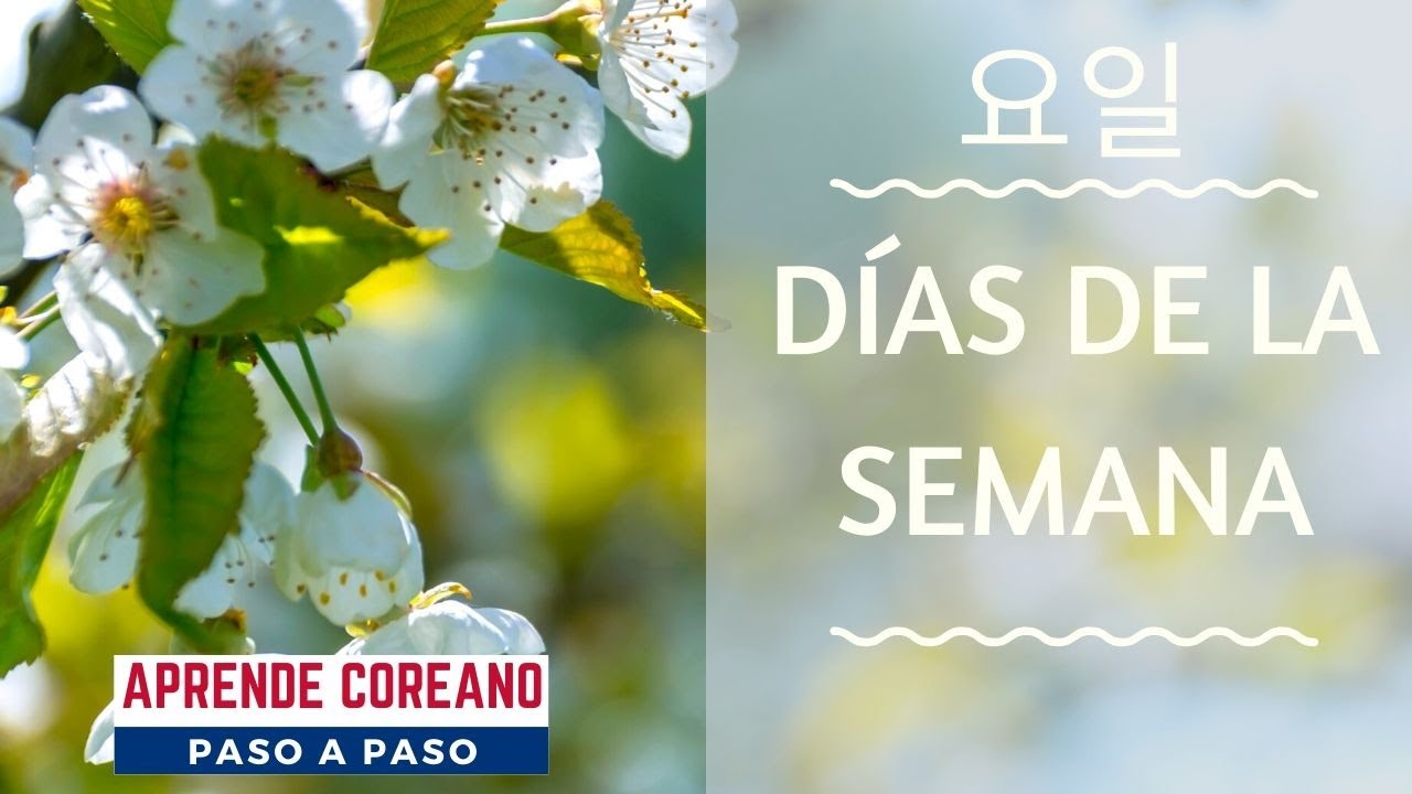 Los días de la semana en Coreano #요일 #vocabulariocoreano #palabrasencoreano #idiomacoreano #coreano