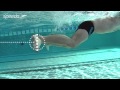 Speedo swim technique  breaststroke  created by speedo presented by proswimwear