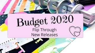 Budget Planner and Companion | Happy Planner | New RELEASE | Flip Through