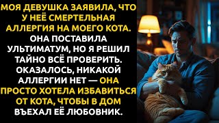 картинка: Моя девушка поставила УЛЬТИМАТУМ: я или кот... и я ВЫБРАЛ кота, когда узнал её СЕКРЕТ.