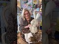 Bunny bait  diy easter inspired crafts  studio md az