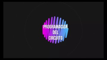 ALARMA ANTIRROBO VIDEO