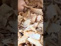 My newest chicken laid an egg! I thought it’d be a week or two given the stress of moving..few days