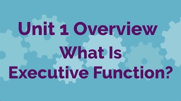 SMARTS CONNECT Executive Function Curriculum - Unit 1.1 Overview