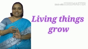 SCTS | 3rd Class | Science | Things around us