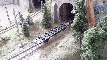 Roco DB BR 202 pulls Rowa FlachWagen