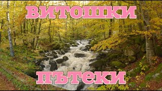 видео: Преход за начинаещи на ВИТОША - 14км картинка: Преход за начинаещи на ВИТОША - 14км
