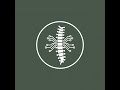 Spine - Endoscopic Decompression for Elderly Patients with Lumbar Stenosis