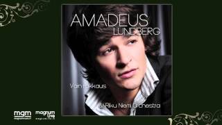 Amadeus Lundberg & Riku Niemi Orchestra - Besame Mucho chords