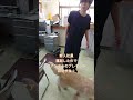 プレゼント