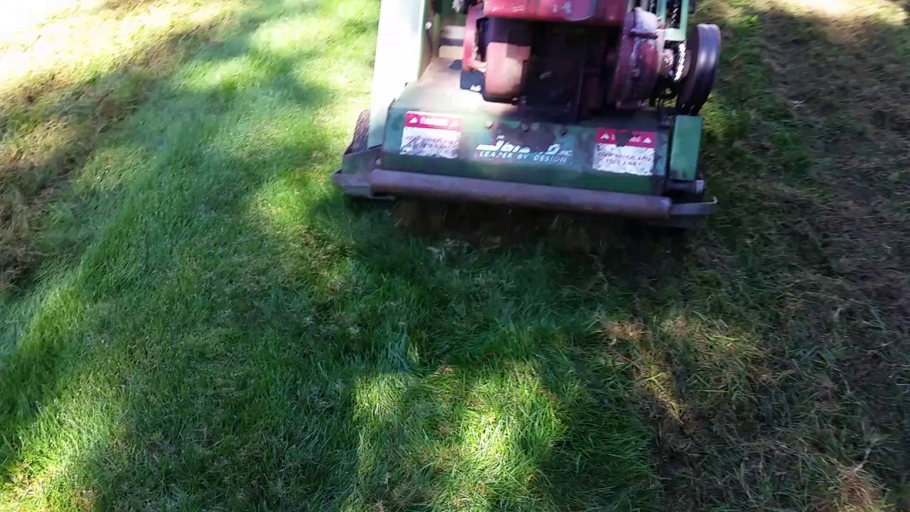 Olivera landscape.  Slice seeding lawns.