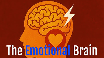 The Emotional Brain | Why We Feel Before We Think
