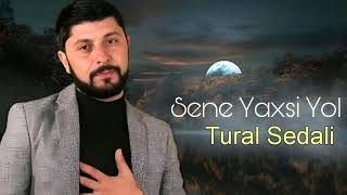 Tural Sedali - Sene Yaxşi Yol - 2023 Resimi