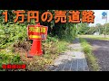 1万円の売道路