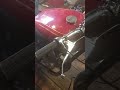 49 BSA B31 409cc conversion #BSAGOLDSTAR #BSA #B31 #B33 #DBD34 #B44 #Superrocket #scramblescams