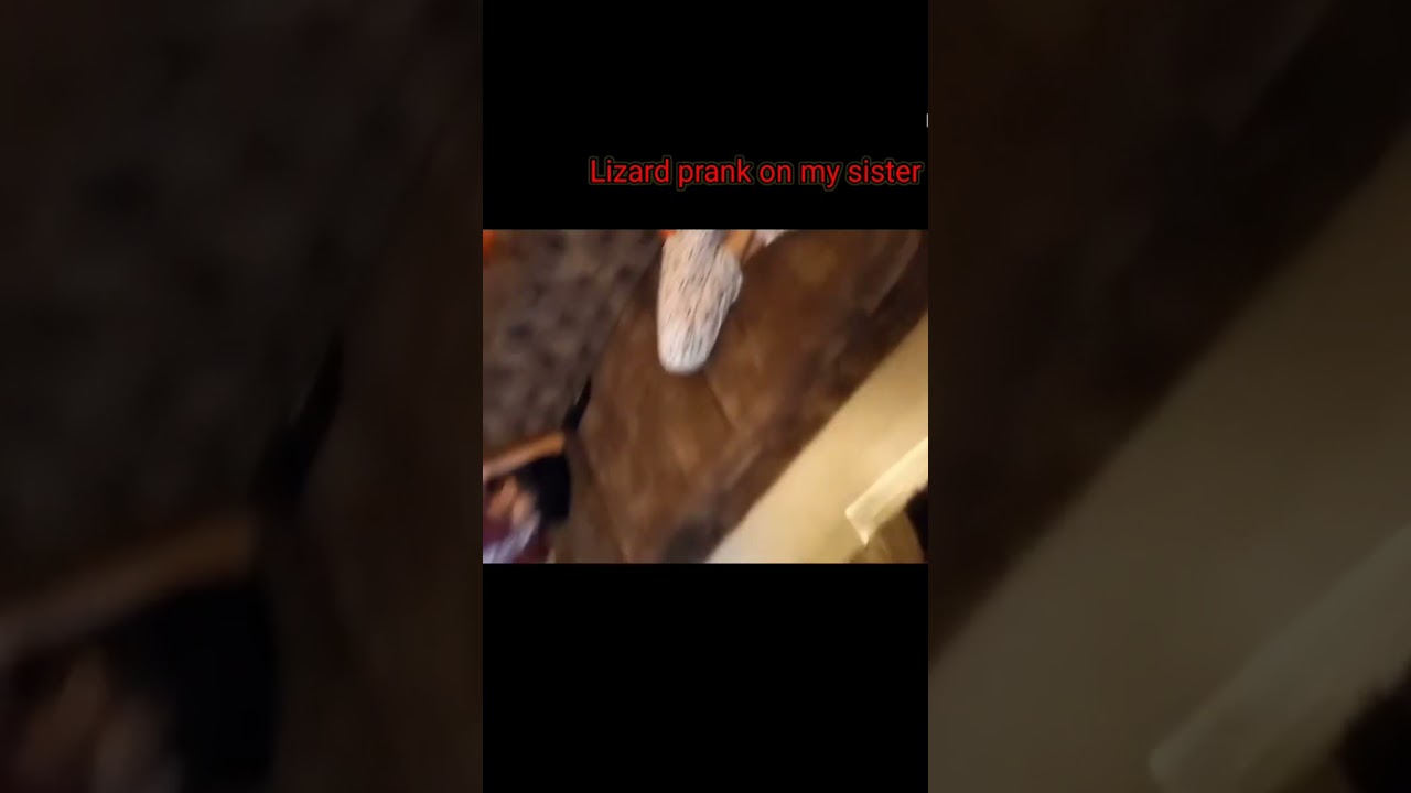 lizard prank on my sister 🦎🤣