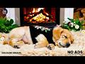 12 HOURS of Calming Dog Music🎧💚Separation Anxiety Support🐾Peaceful Dog Sleep 🌙