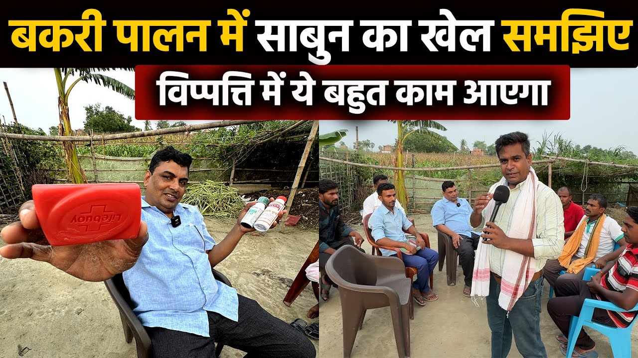 Goat Farming में लाइफबॉय साबुन का खेल समझिए🐐बकरी पालन में सुधीर सर ने ग्रामीणों को बताया अचूक नुस्खे