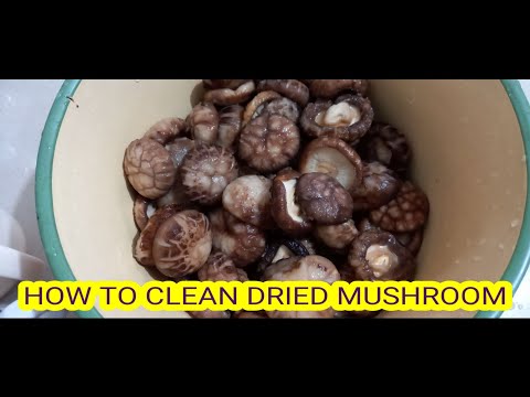 How to clean dried mushroom before cooking// how to wash dried mushroom before cooking