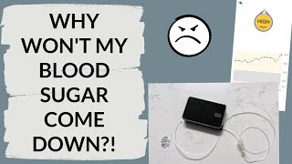 WHY WONT MY BLOOD SUGAR COME DOWN?! | The Diabetic Cactus