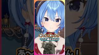 トワ様の愛猫こたーちにも威嚇されるすいちゃん、無償の愛を求めて犬派にかたむく【星街すいせい/ホロライブ切り抜き】