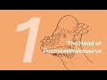 Austin the Pachycephalosaurus 1: The Head | Learn to Draw Dinosaurs with ZHAO Chuang