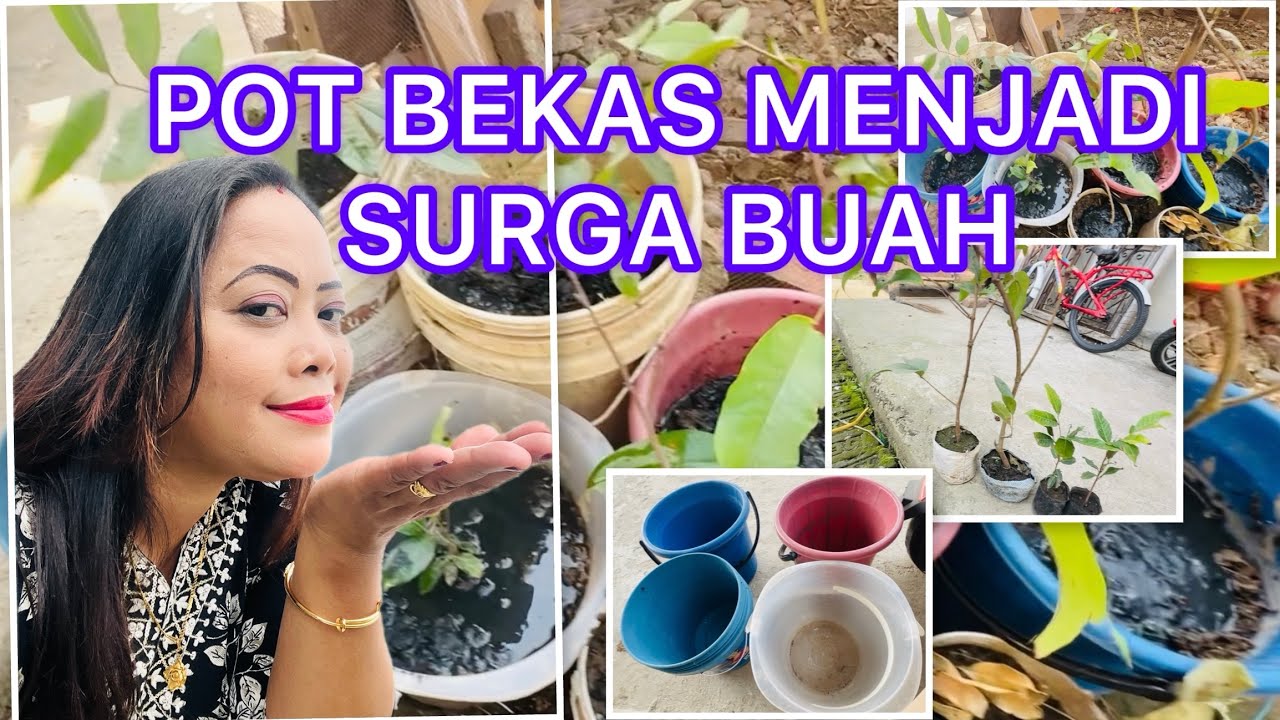 VLOG 43. USED BUCKETS BECOME FRUIT PARADISE #dailyvlog #garden #reels #video @AngeliaRomie 