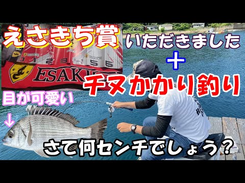 冴えないおっさんのかかり釣り えさきち賞開封 チヌ 黒鯛 筏 カセ 短竿 ちぬ ダンゴ釣り アタリ Youtube 冴えないおっさんのかかり釣り えさきち賞開封 チヌ 黒鯛 筏 カセ 短竿 ちぬ ダンゴ釣り アタリ Youtube