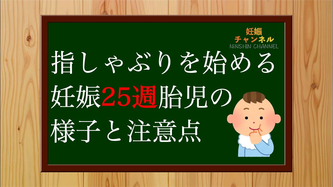 妊娠25週 逆子になっても大丈夫 妊娠25週胎児の様子とこの時期の注意点 Youtube